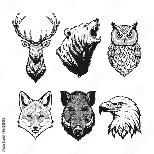 Motion Graphic Woodland Animal Set Noble Forest Wildlife Animation Vector Style Icons Minimalist Nature Illustration