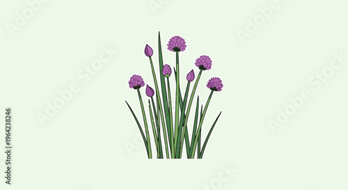 Stylized green stalks topped with round purple blossoms and buds on pale green