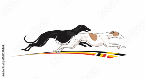 Two sleek hounds, one black, one white with brown spots, in full stride