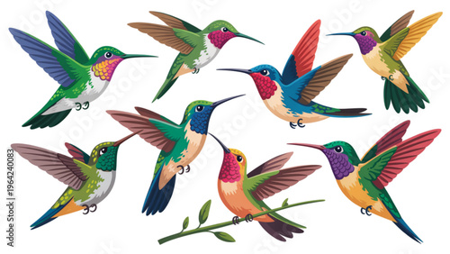 Assorted raw cuts of poultry meat displayed in a row Vector