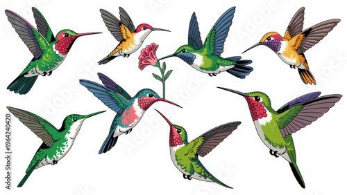 Illustration of various architectural bridge designs and structural shapes Vector