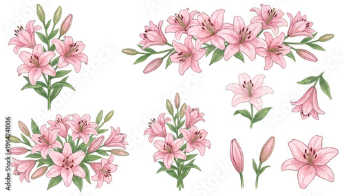 Delicate pink lilies in various arrangements and single blooms showcasing open flowers and buds with green stems and leaves pink lily flower arrangement floral bouquet petal