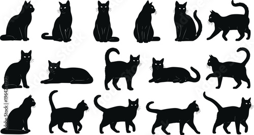 Cat silhouettes set feline pet poses minimal black white cad drawing flat vector illustration design isolated kitten collection animal concept