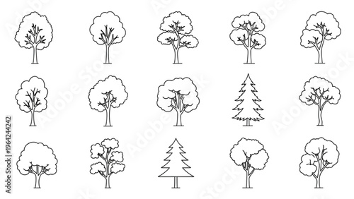 Various trees in vector CAD design style for illustration