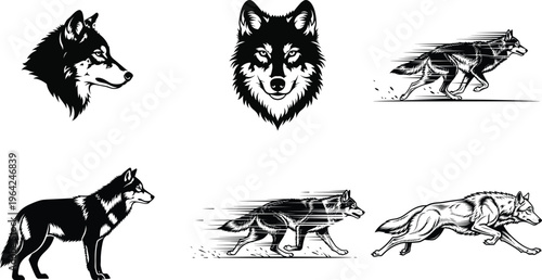 Collection of six black and white illustrations of wolves in various poses and expressions