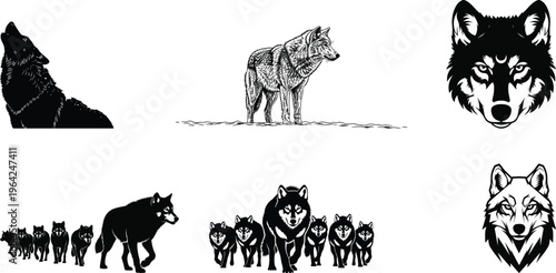Collection of various wolf illustrations and silhouettes in different poses