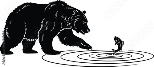 Black bear silhouette hunting fish in river, wild animal catching leaping salmon in water ripples, nature wildlife graphic illustration design