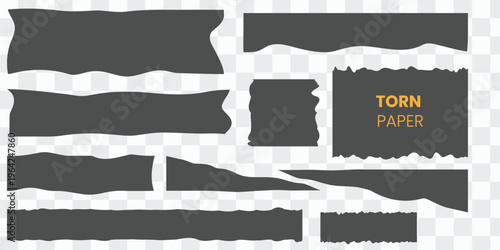 Torn paper pieces isolated on transparent background