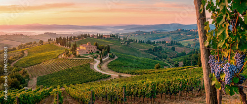 Tuscan Vineyard at Sunrise
