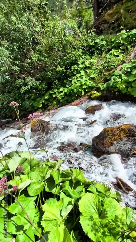 Holy Three Springs Waterfalls and Pilgrimage Site in Trafoi South Tyrol Italy 4K