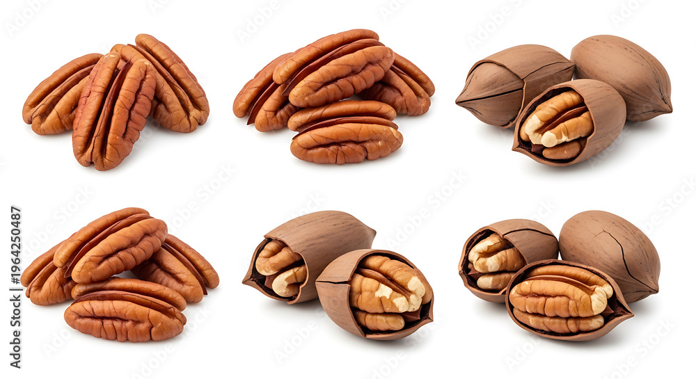 Fototapeta premium Assorted pecan arrangements featuring whole nuts and shelled halves on transparent background