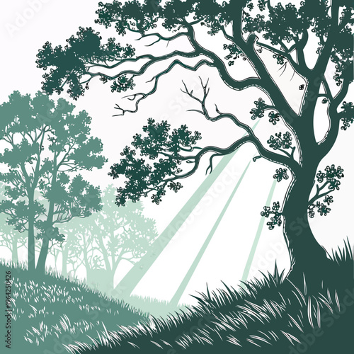 Vector illustration of a serene forest landscape with trees and sunbeams