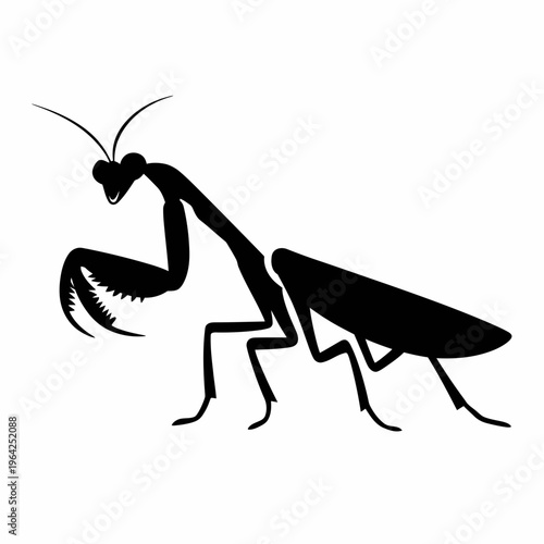 Detailed silhouette of a praying mantis in a poised stance isolated on white background, Vector, illustration