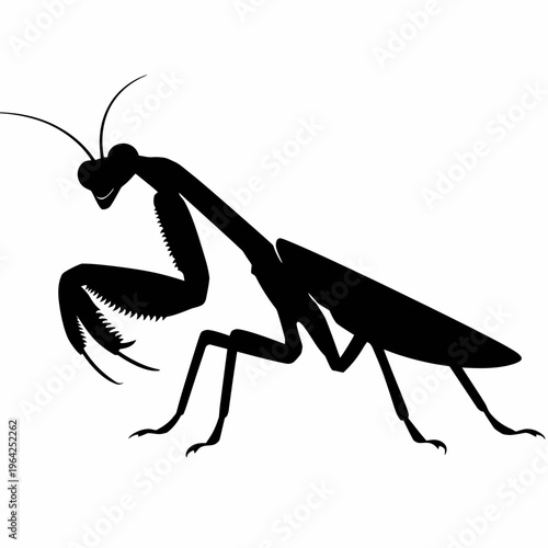 A detailed black and white illustration of a praying mantis in motion isolated on white background, Vector, illustration