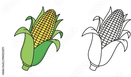 Vector illustration of fresh yellow corn on the cob with green husk and a black and white line art version for coloring book and educational activities