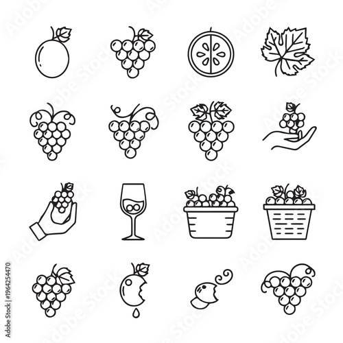 Grape Icons Collection: Fresh Fruit Clusters Wine Glass Leaf Handfuls Baskets Slice Bite MarkMinimalist Line Art Style