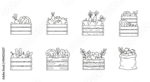 Fresh Farm Produce Line Art Collection Vegetables Fruits in Wooden Crates and Burlap Sacks Vector Illustration