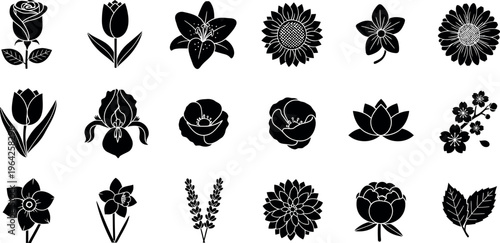 Collection of black and white floral and silhouettes flower rose 1 tulip lily