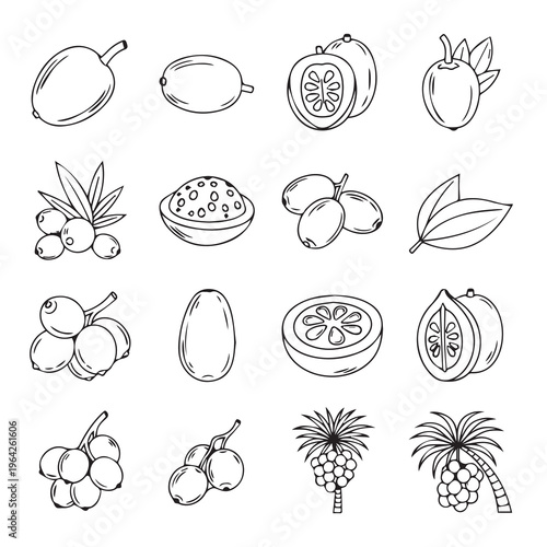Assorted Exotic Fruits and Berries Line Art Icons Set Isolated on White Background