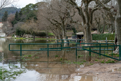 Flooded lake, trees and road signs. High quality photo