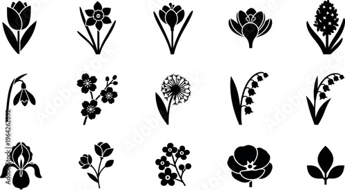 Collection of black flower on white background tulip daffodil crocus hyacinth