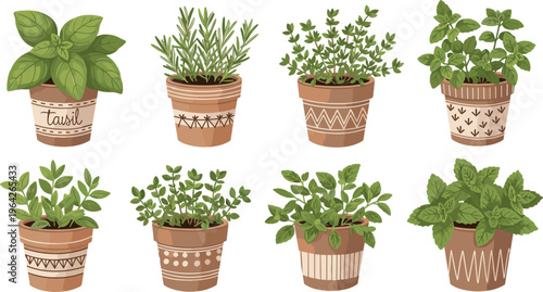 Herb Plants in Decorative Pots, Featuring Basil, Mint, Thyme, and Rosemary with Geometric Patterns