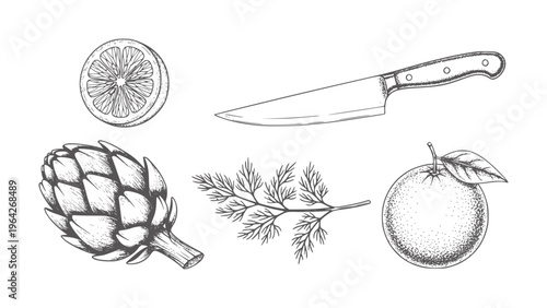 Hand drawn of kitchen knife artichoke orange dill and lemon slice food ingredients