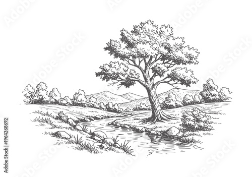 Of a solitary tree by a flowing stream with rolling hills in the river water