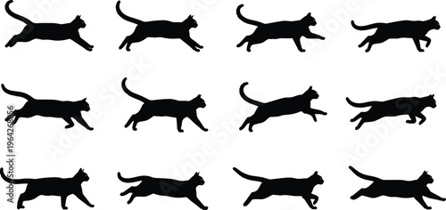 Cat silhouettes set isolated on white background, black domestic feline running and jumping vector illustration, diverse animal movement poses for professional graphic design projects.