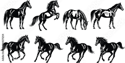 Horse silhouettes set isolated on white background, black stallion running jumping and standing vector illustration, diverse equine poses for professional equestrian and nature design.