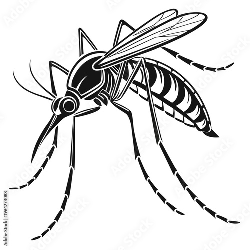 Detailed Mosquito Illustration, Insect Vector Art, Pest Control Symbol, Black and White Scientific Drawing, Disease Vector Icon