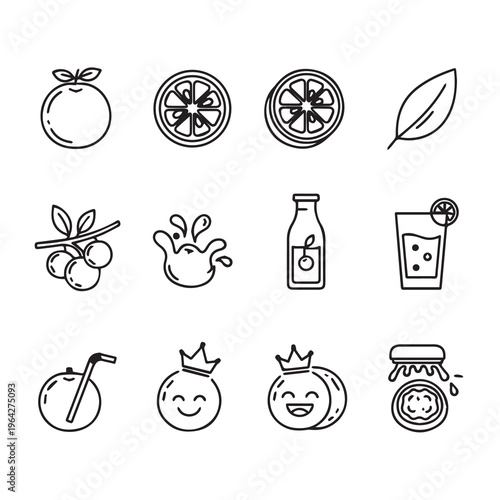 Citrus Fruit Icons: Oranges Slices Juice Jam and LeavesMinimalist Line Art Style