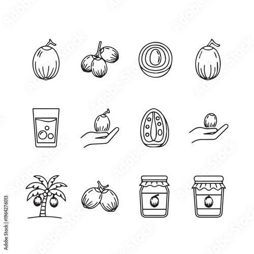 Coconut Icons Set: Tropical Fruit Beverage and Preserve Illustrations