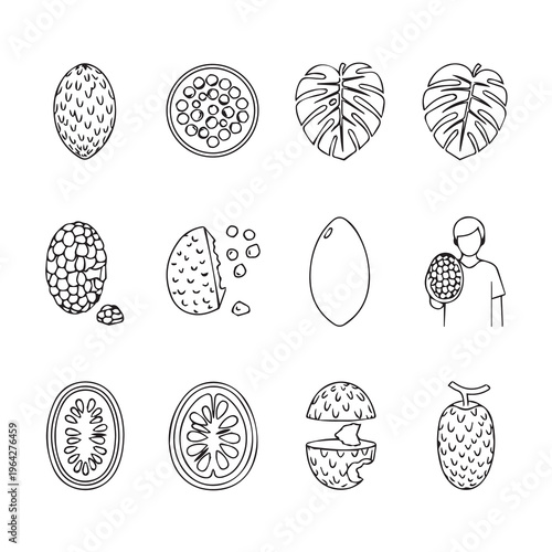 Custard Fruit and Leaves Collection Hand Drawn Sketch Style Isolated on White Background