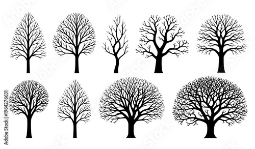 Leafless Tree Silhouette Set Winter Bare Trees Black Vector