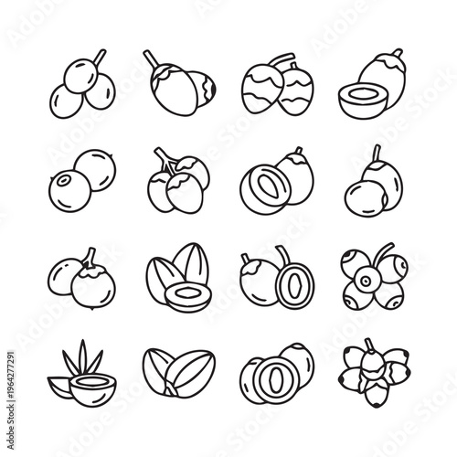 Exotic Fruit IconsTropical Produce Collection Minimalist Outline Style