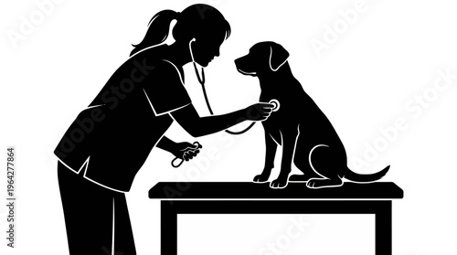 Veterinarian examining a dog with a stethoscope on a table, silhouette