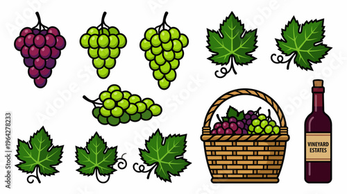 A delightful assortment of grape clusters, fresh leaves, a full basket, and a classic wine bottle illustration set