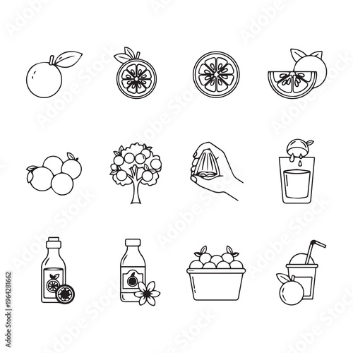 Orange Fruit Icons: Slices Tree Juicing Drinks and Products