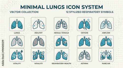 Healthy lungs promote a smoke free lifestyle with clean air