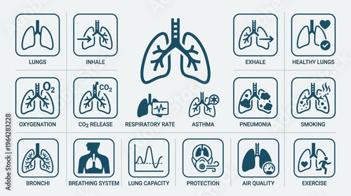 Healthy lungs promoting clean air and a smoke free lifestyle