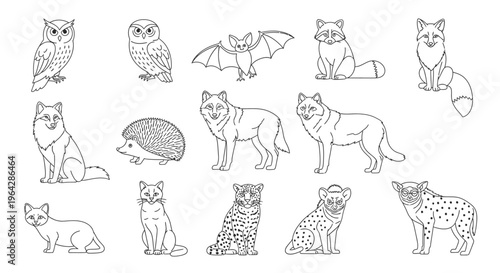 Collection of various wild animal drawings 13.