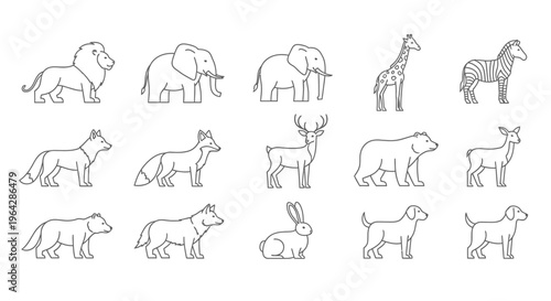 Collection of various wild animal drawings 17.