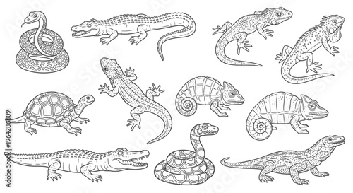 Reptiles including snakes lizards crocodiles.