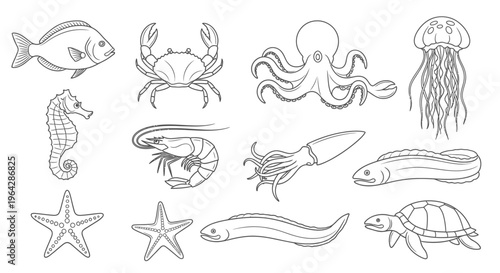 Sea creatures illustrations set ocean animals.