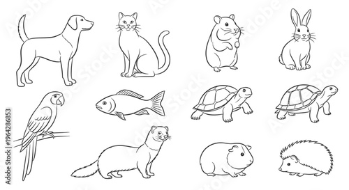 Variety of cute animal line drawings 1.