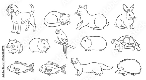 Variety of cute animal line drawings.