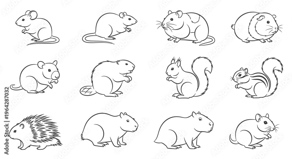 Fototapeta premium Various small rodent animal line drawings.