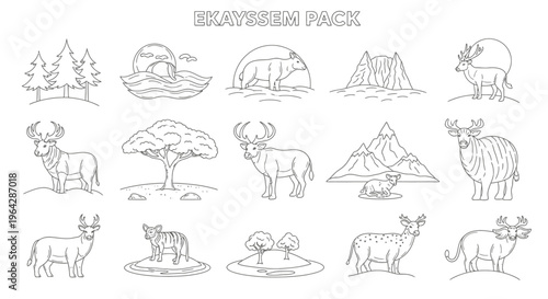Various animals in different poses 2.