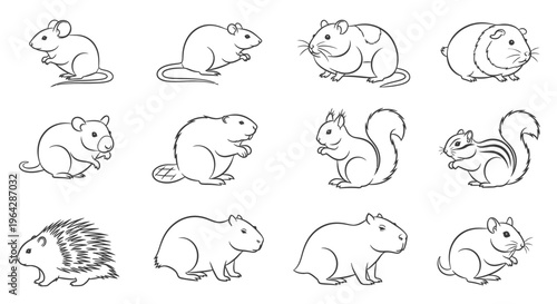 Various small rodent animal line drawings.